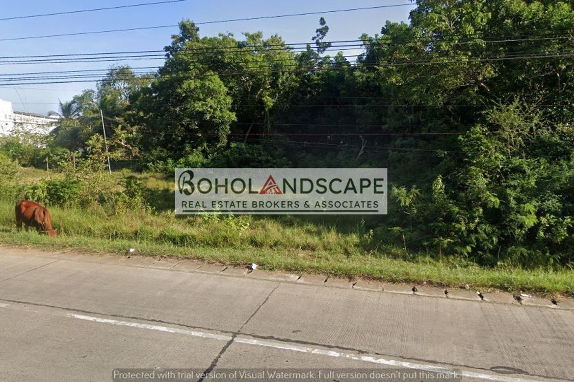 Land for Sale in Bingag, Dauis, Bohol – photo 7