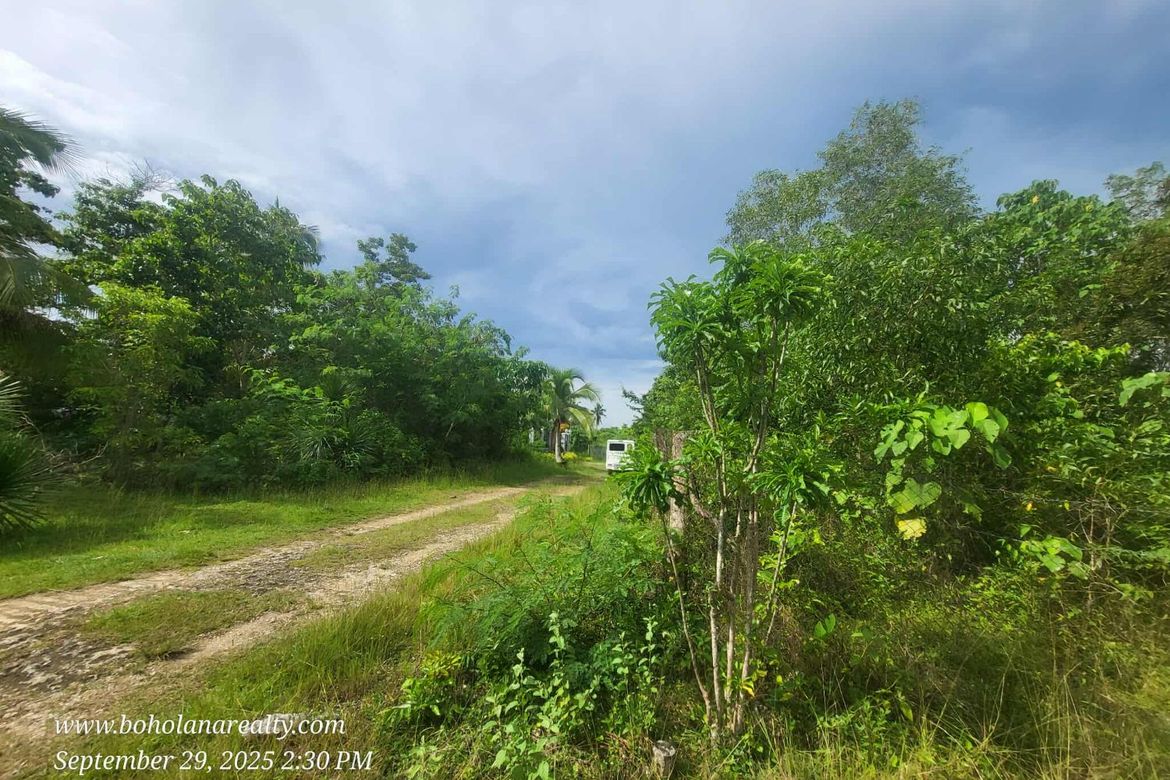 Land for Sale in Bingag, Dauis, Bohol – photo 2