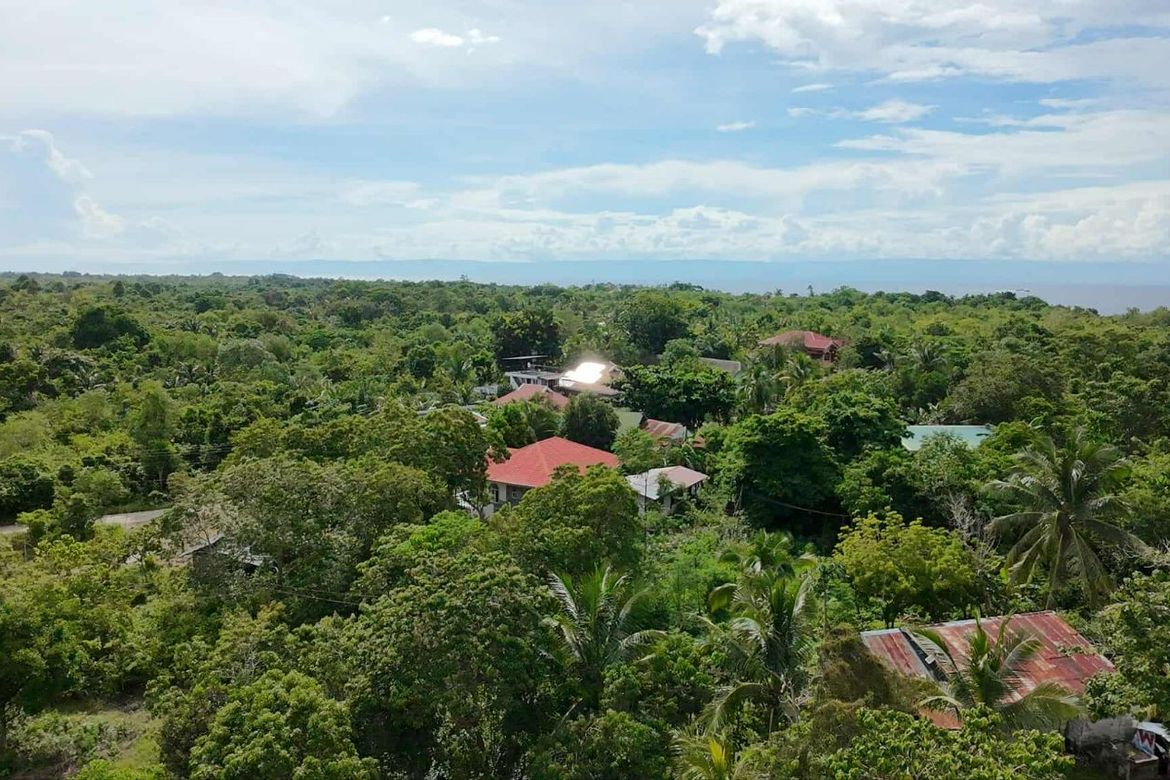 Land for Sale in Bingag, Dauis, Bohol – photo 5