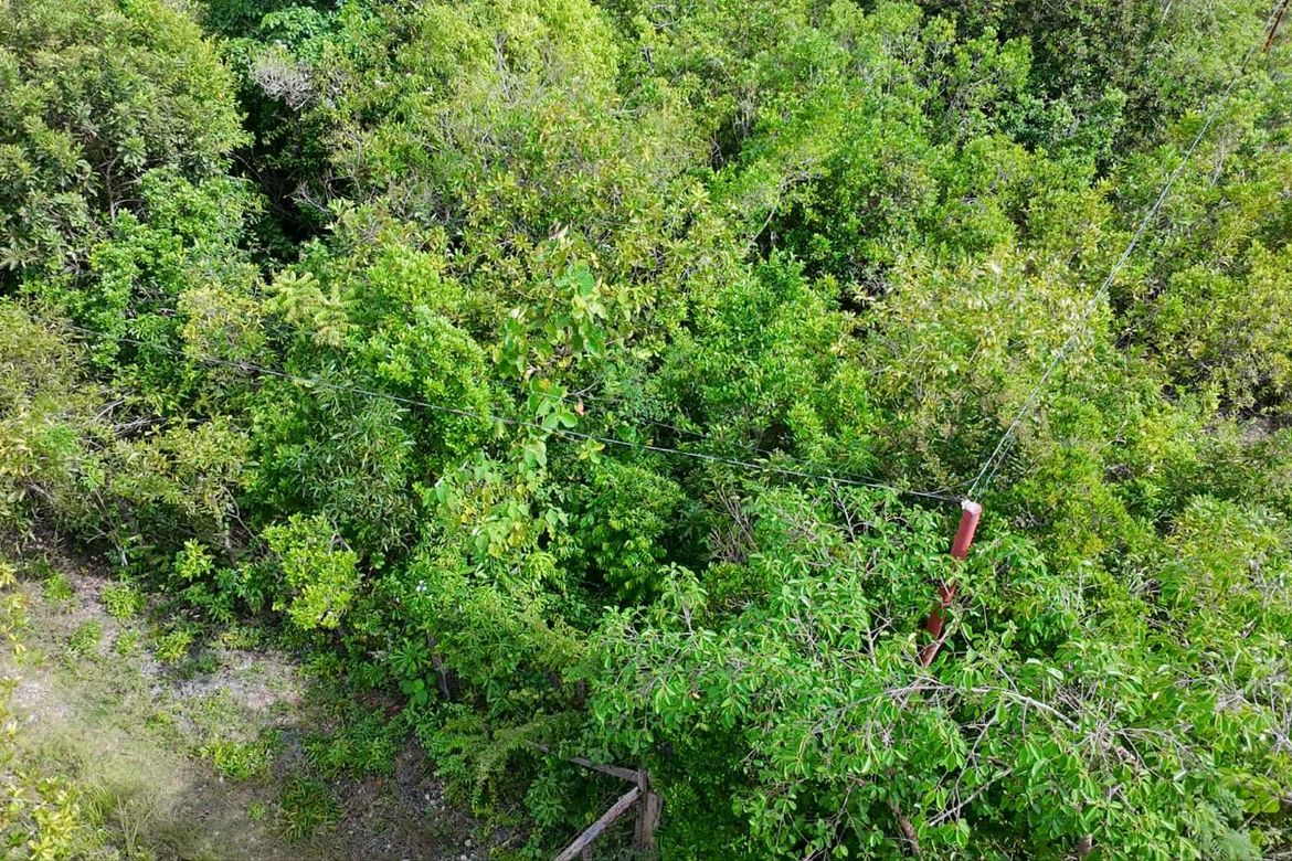 Land for Sale in Bingag, Dauis, Bohol – photo 6