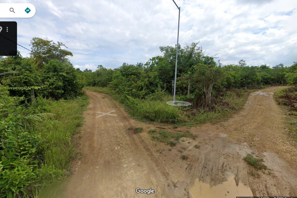 Land for Sale in Bingag, Dauis, Bohol