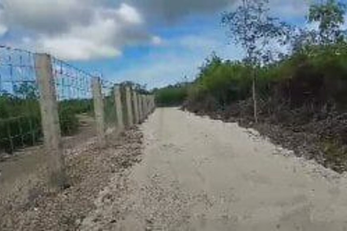 Land for Sale in Bingag, Dauis, Bohol – photo 3