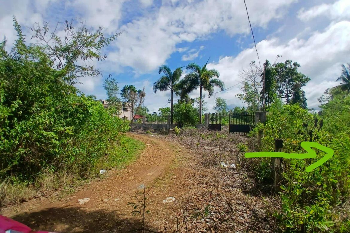 Land for Sale in Bingag, Dauis, Bohol – photo 7