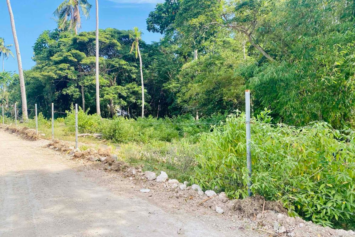 Land for Sale in Bingag, Dauis, Bohol – photo 2