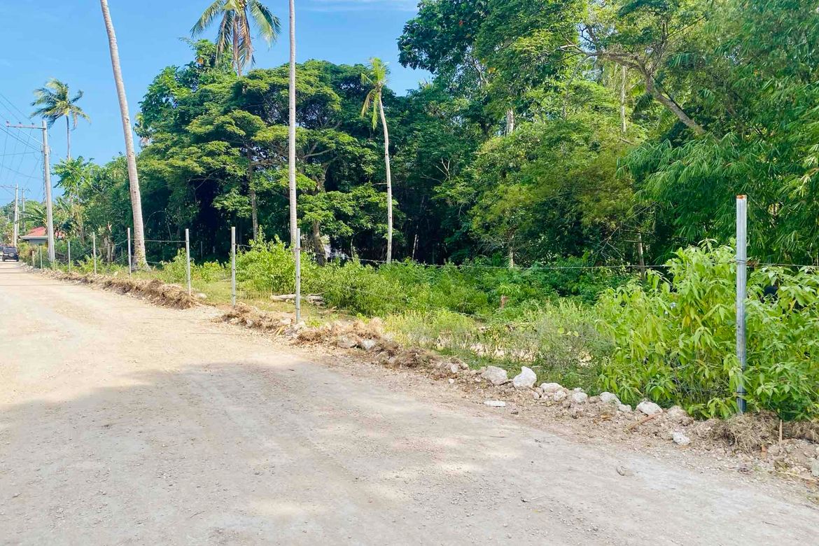 Land for Sale in Bingag, Dauis, Bohol – photo 4
