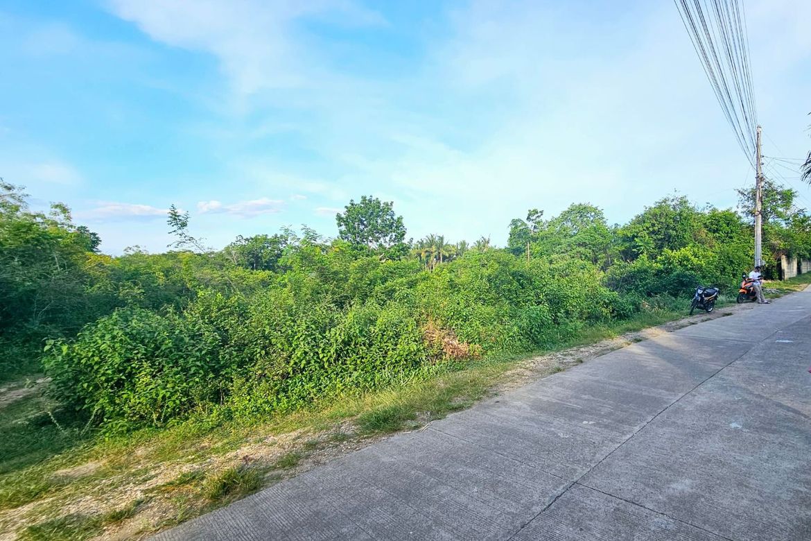 Land for Sale in Bingag, Dauis, Bohol – photo 3