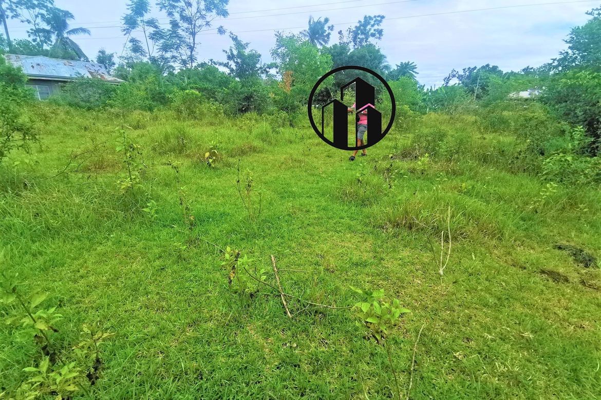 Land for Sale in Bingag, Dauis, Bohol – photo 4
