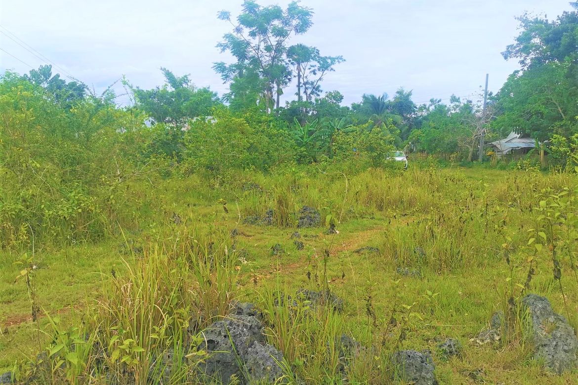 Land for Sale in Bingag, Dauis, Bohol – photo 5