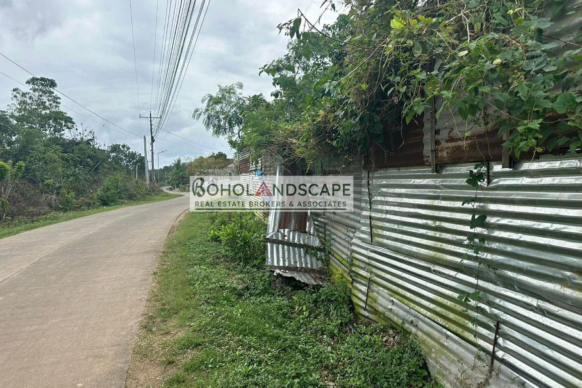 Land for Sale in Bingag, Dauis, Bohol