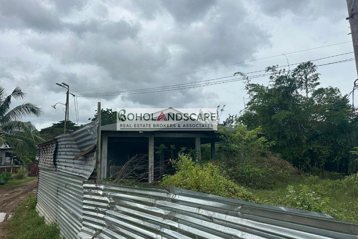 Land for Sale in Bingag, Dauis, Bohol – photo 3