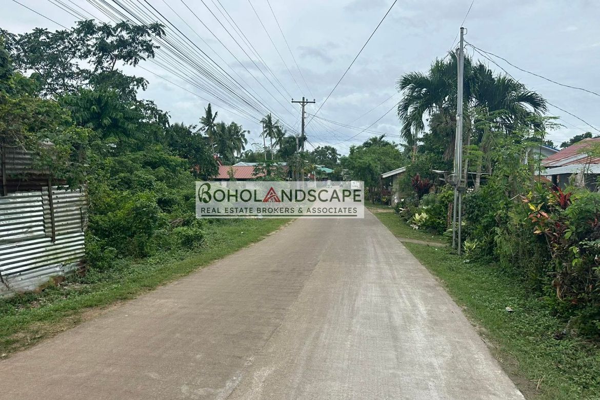 Land for Sale in Bingag, Dauis, Bohol – photo 4