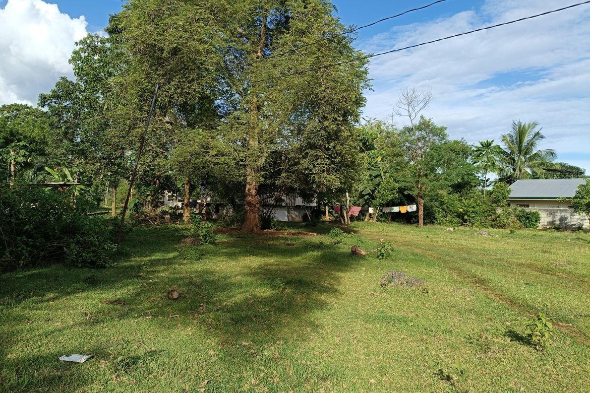 Land for Sale in Bingag, Dauis, Bohol – photo 4