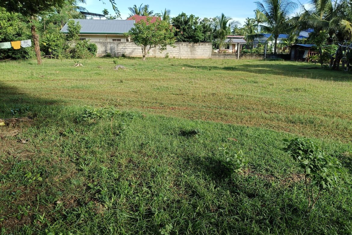 Land for Sale in Bingag, Dauis, Bohol – photo 7