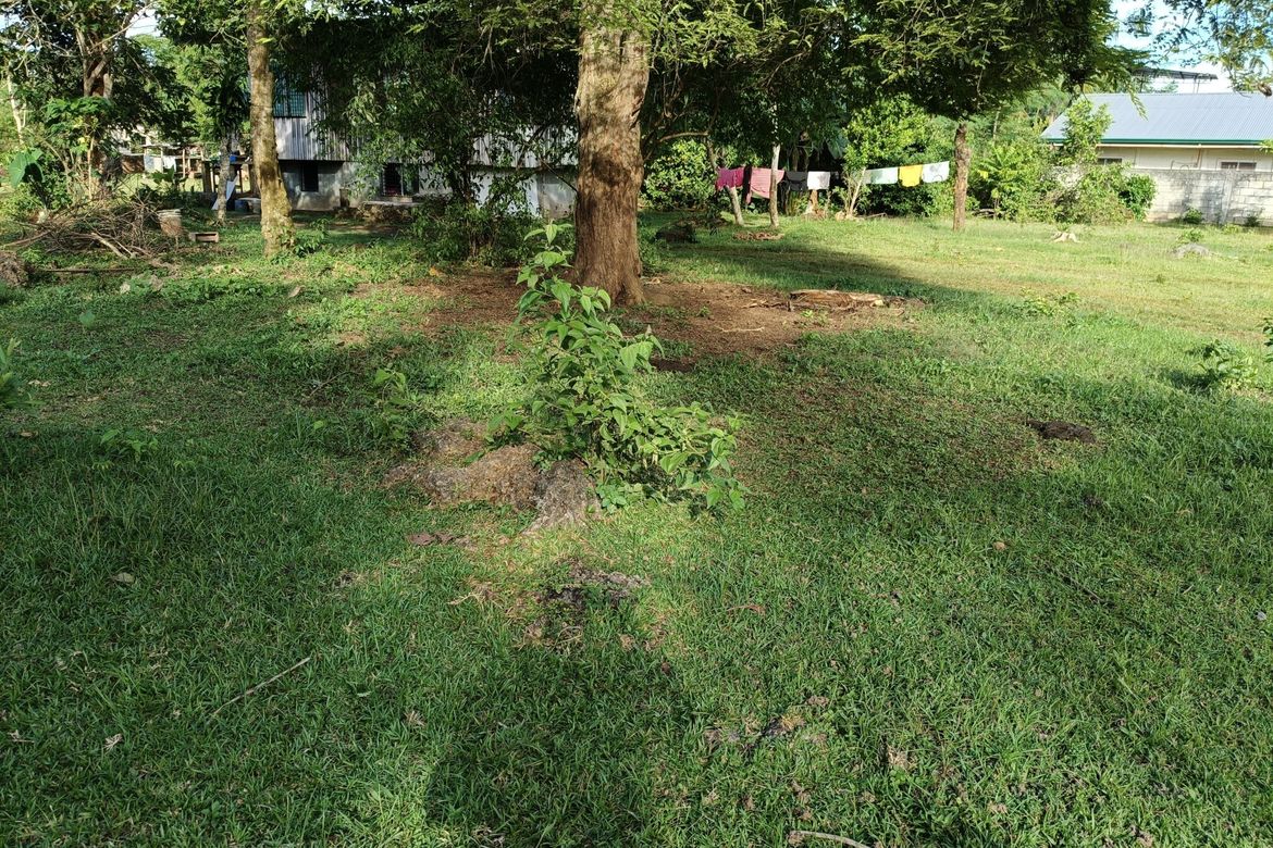 Land for Sale in Bingag, Dauis, Bohol – photo 8