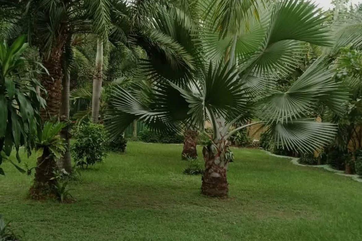 Land for Sale in Bintog, Plaridel, Bulacan – photo 5