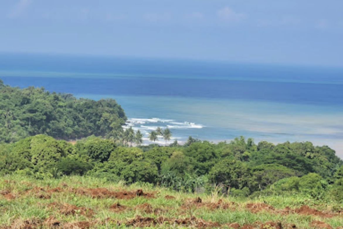 Land for Sale in Binuangan, Bagac, Bataan – photo 3