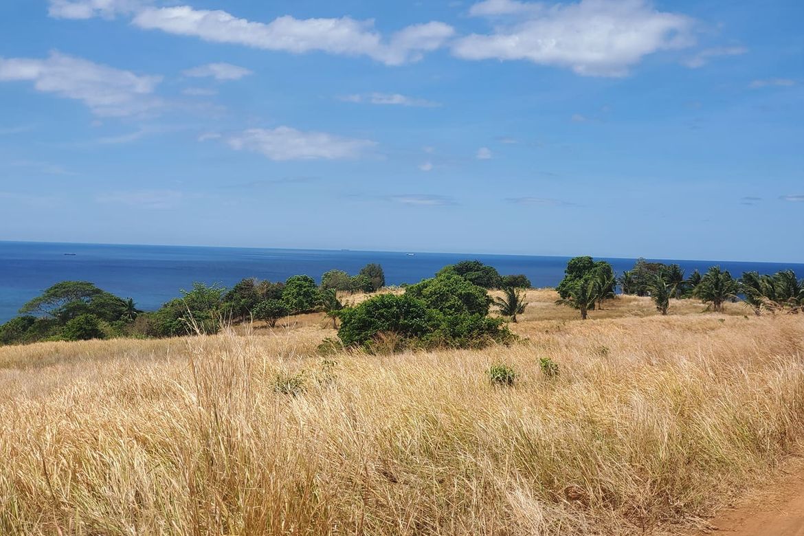Land for Sale in Binuangan, Bagac, Bataan – photo 5