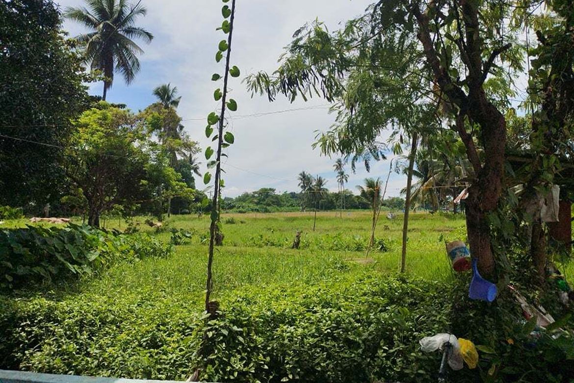 Land for Sale in Binugao, Davao City, Davao del Sur – photo 4