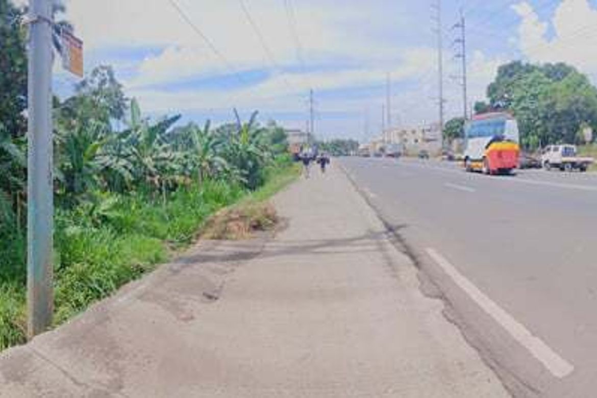 Land for Sale in Binugao, Davao City, Davao del Sur – photo 5