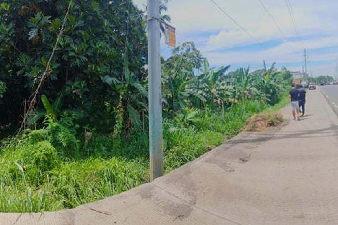 Land for Sale in Binugao, Davao City, Davao del Sur – photo 6