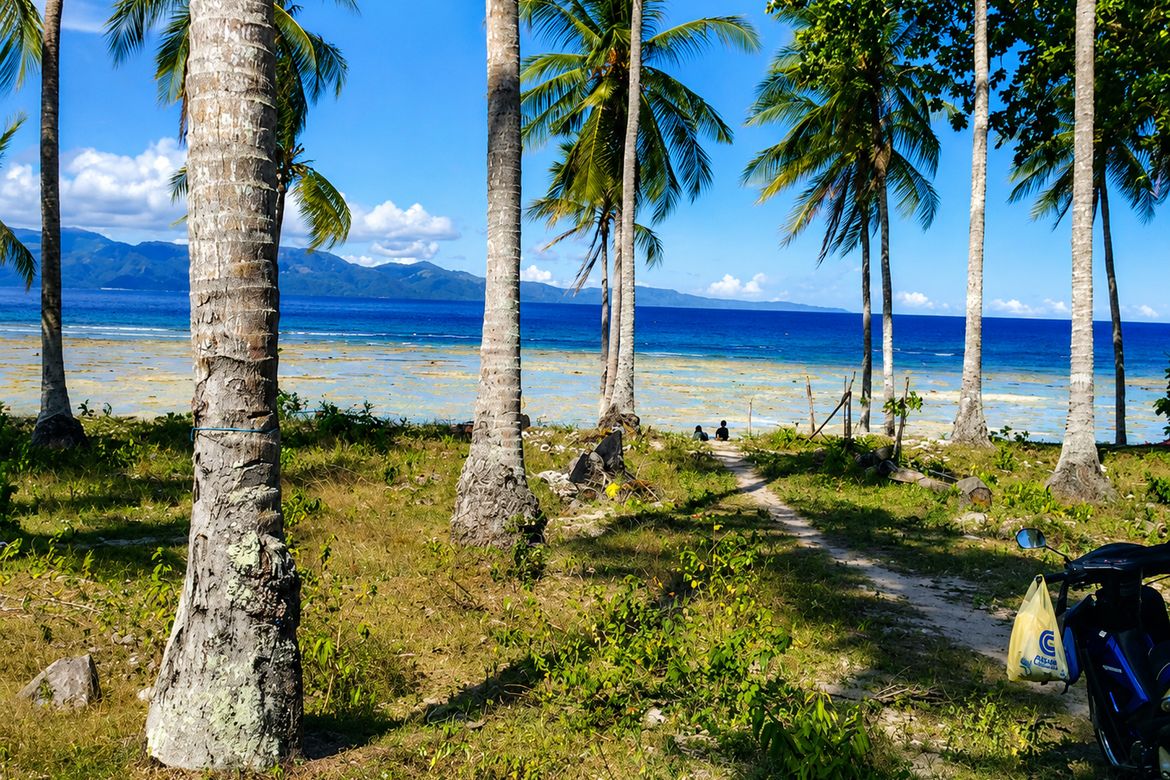 Land for Sale in Bobon, Mati, Davao Oriental