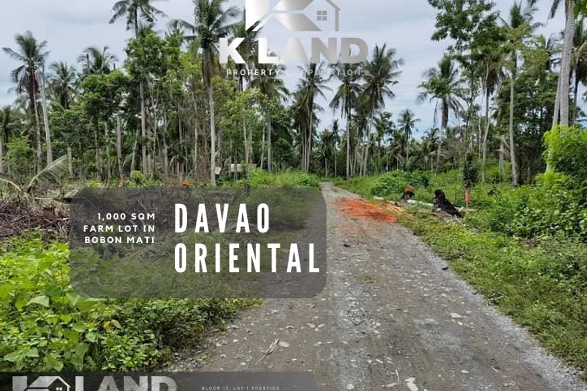 Land for Sale in Bobon, Mati, Davao Oriental