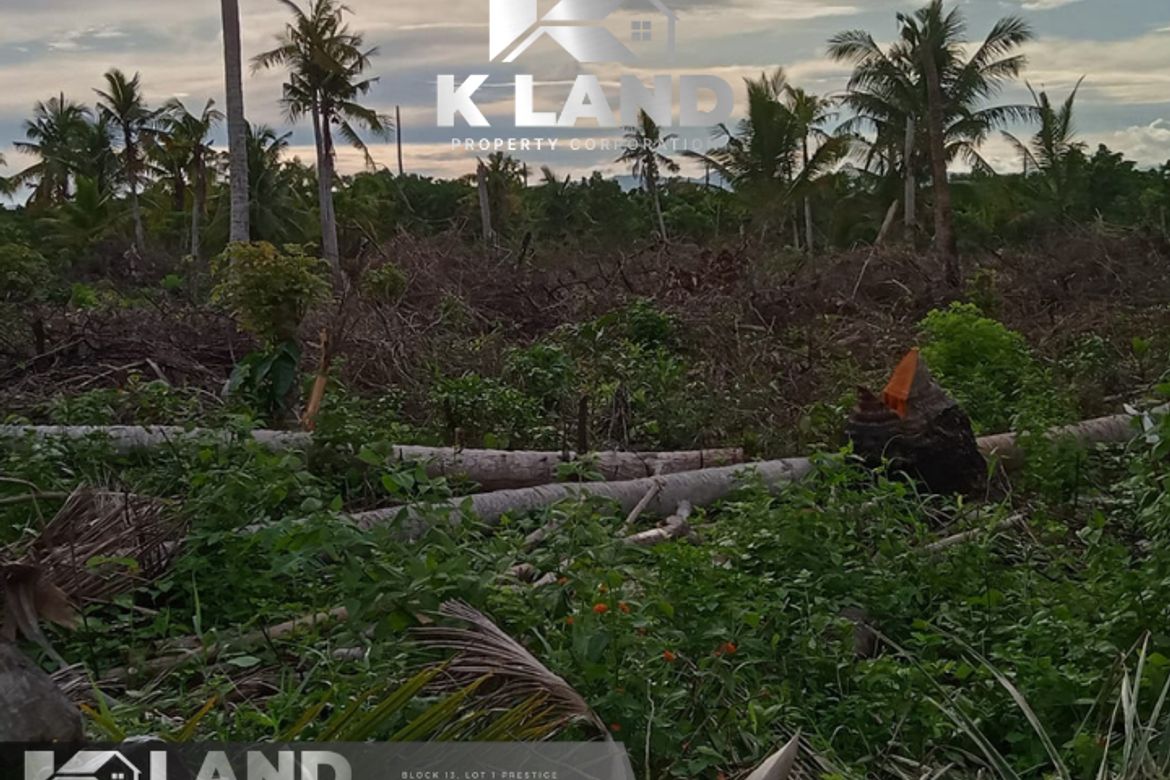 Land for Sale in Bobon, Mati, Davao Oriental – photo 2
