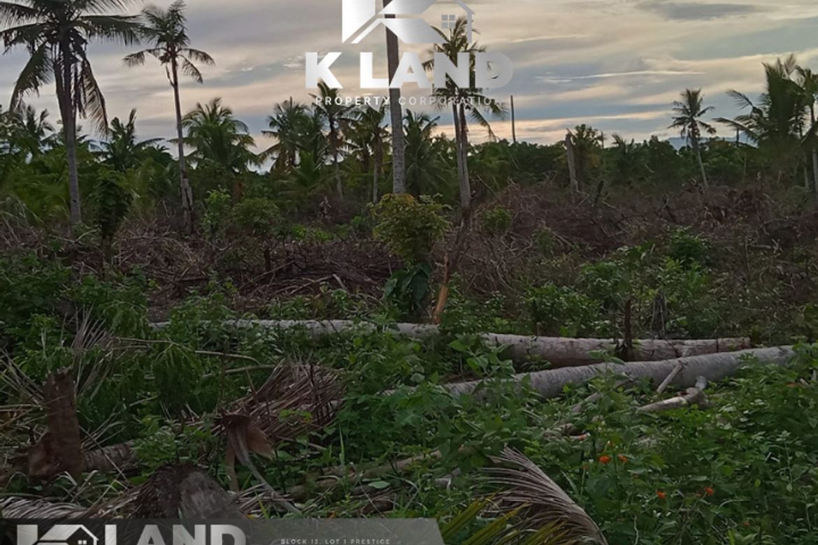 Land for Sale in Bobon, Mati, Davao Oriental – photo 3