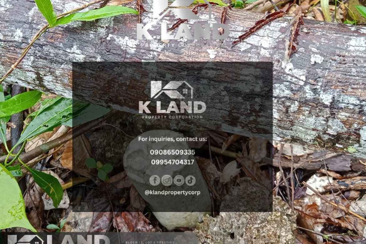 Land for Sale in Bobon, Mati, Davao Oriental – photo 4