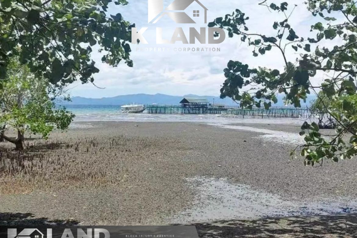 Land for Sale in Bobon, Mati, Davao Oriental – photo 2