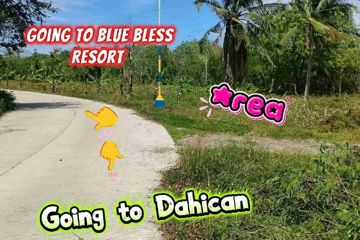 Land for Sale in Bobon, Mati, Davao Oriental – photo 4