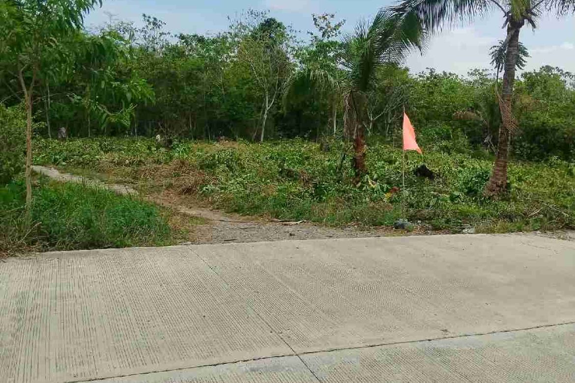 Land for Sale in Bobon, Mati, Davao Oriental – photo 7
