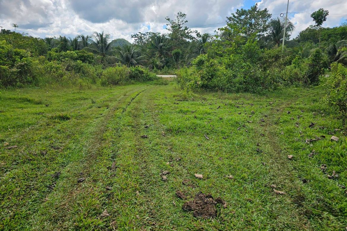 Land for Sale in Boctol, Balilihan, Bohol – photo 2