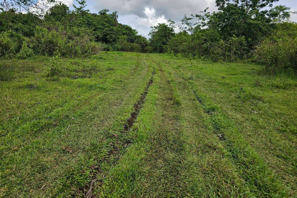 Land for Sale in Boctol, Balilihan, Bohol – photo 3