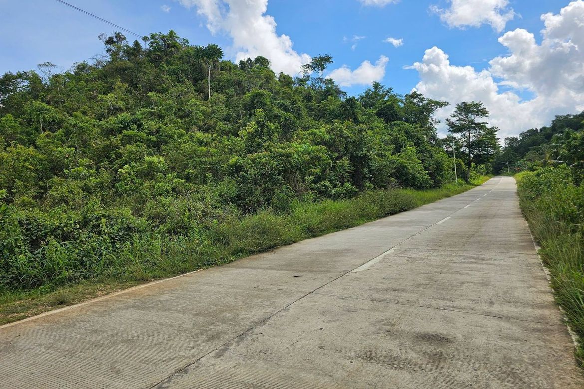 Land for Sale in Boctol, Balilihan, Bohol – photo 4