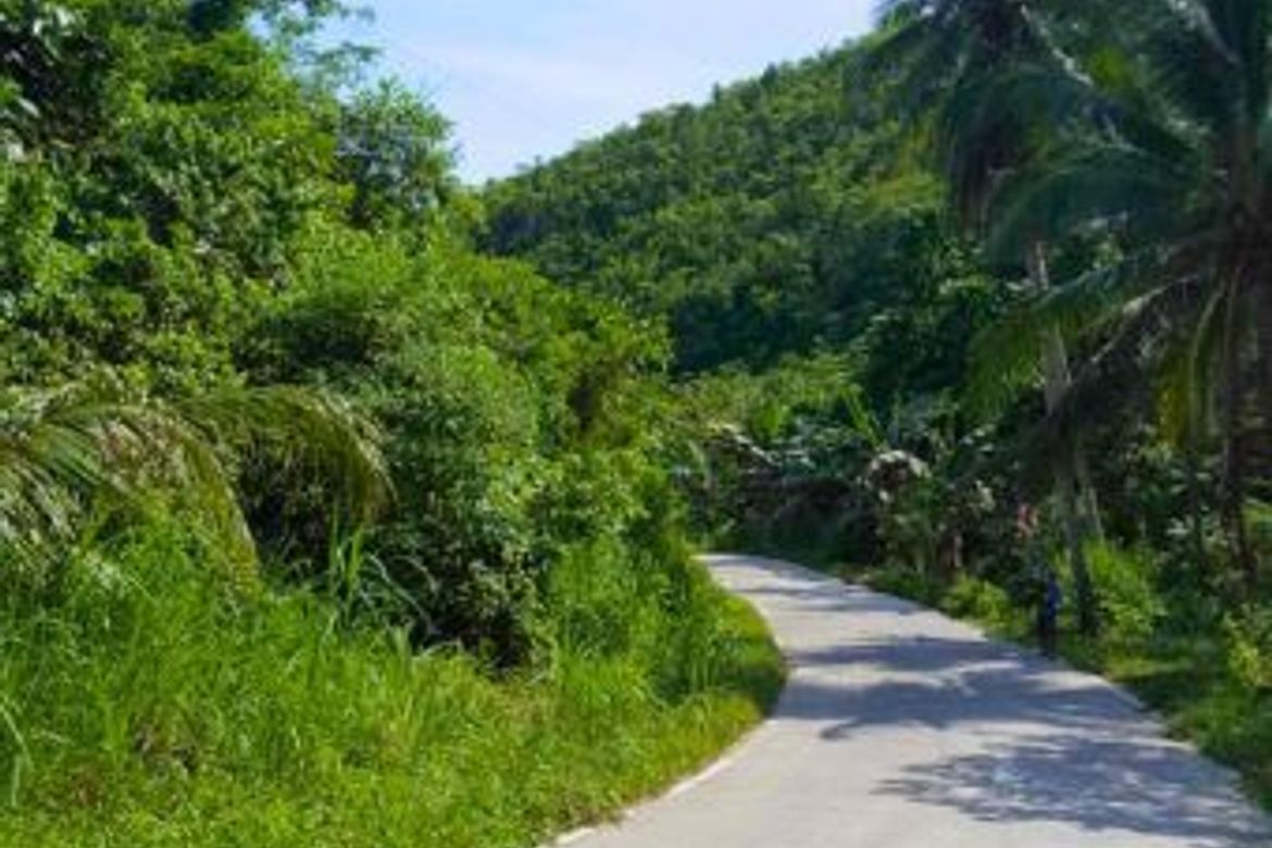Land for Sale in Bog-O, Asturias, Cebu – photo 2
