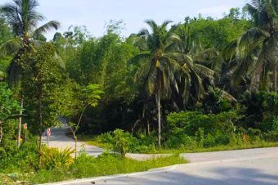 Land for Sale in Bog-O, Asturias, Cebu – photo 6