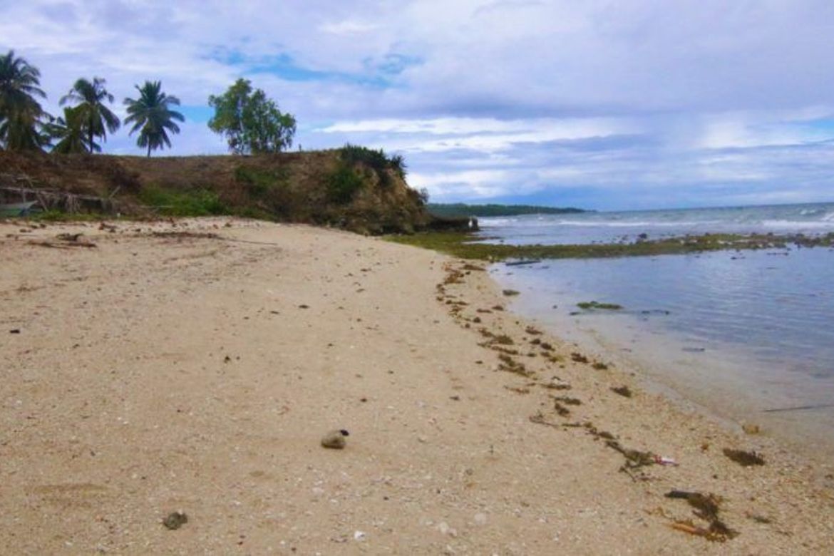 Land for Sale in Bogo, Maria, Siquijor