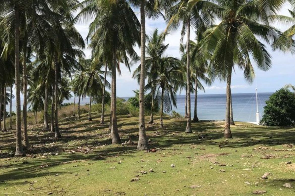 Land for Sale in Bogo, Maria, Siquijor – photo 6