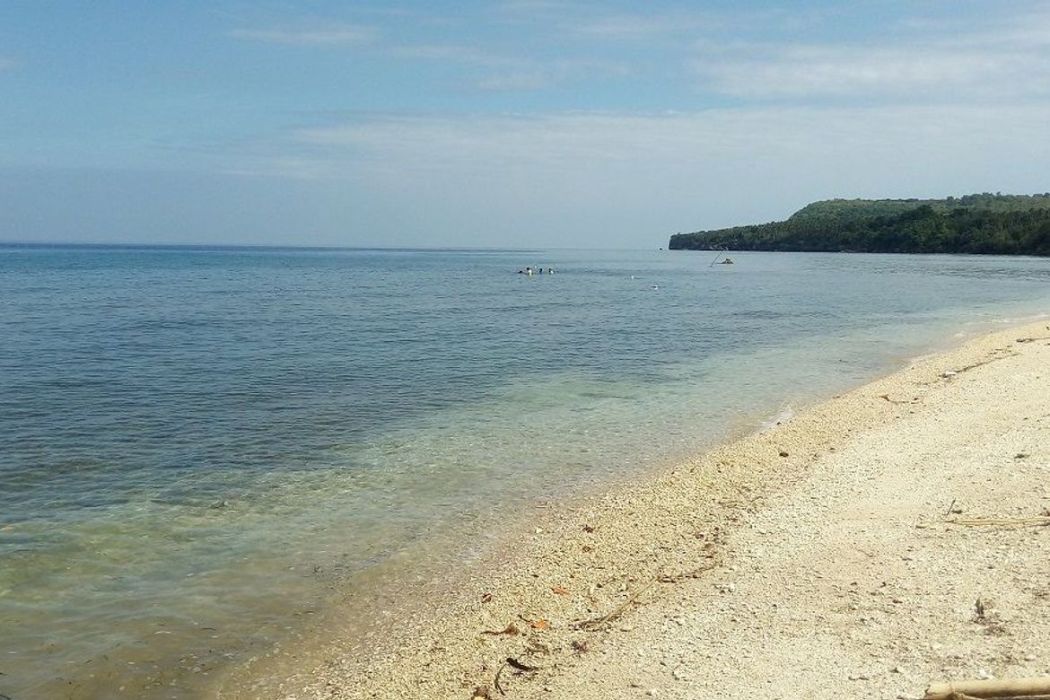 Land for Sale in Bogo, Maria, Siquijor – photo 5