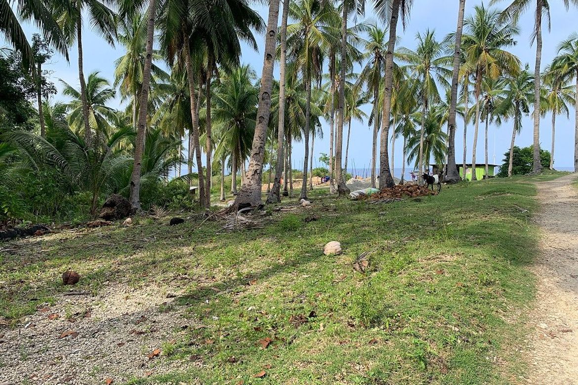 Land for Sale in Bogo, Maria, Siquijor – photo 6