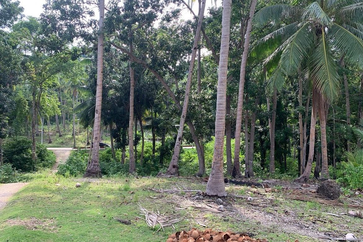 Land for Sale in Bogo, Maria, Siquijor – photo 8