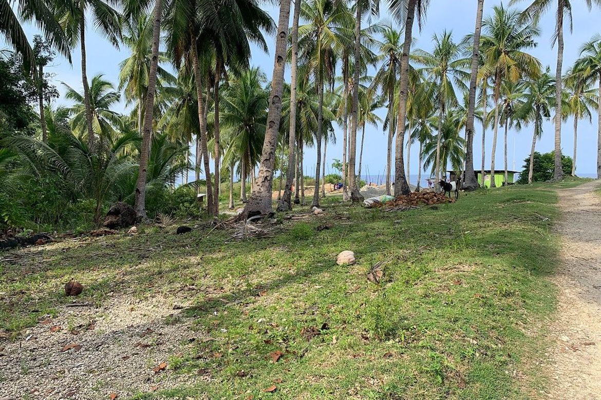 Land for Sale in Bogo, Maria, Siquijor – photo 6