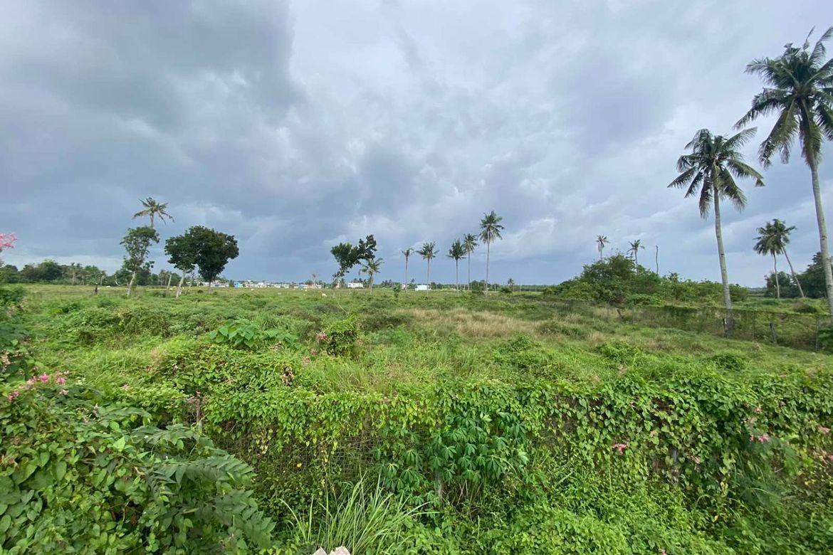 Land for Sale in Bolinawan, Carcar, Cebu