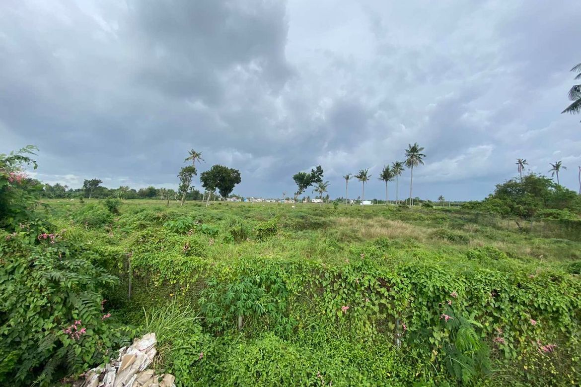 Land for Sale in Bolinawan, Carcar, Cebu – photo 3