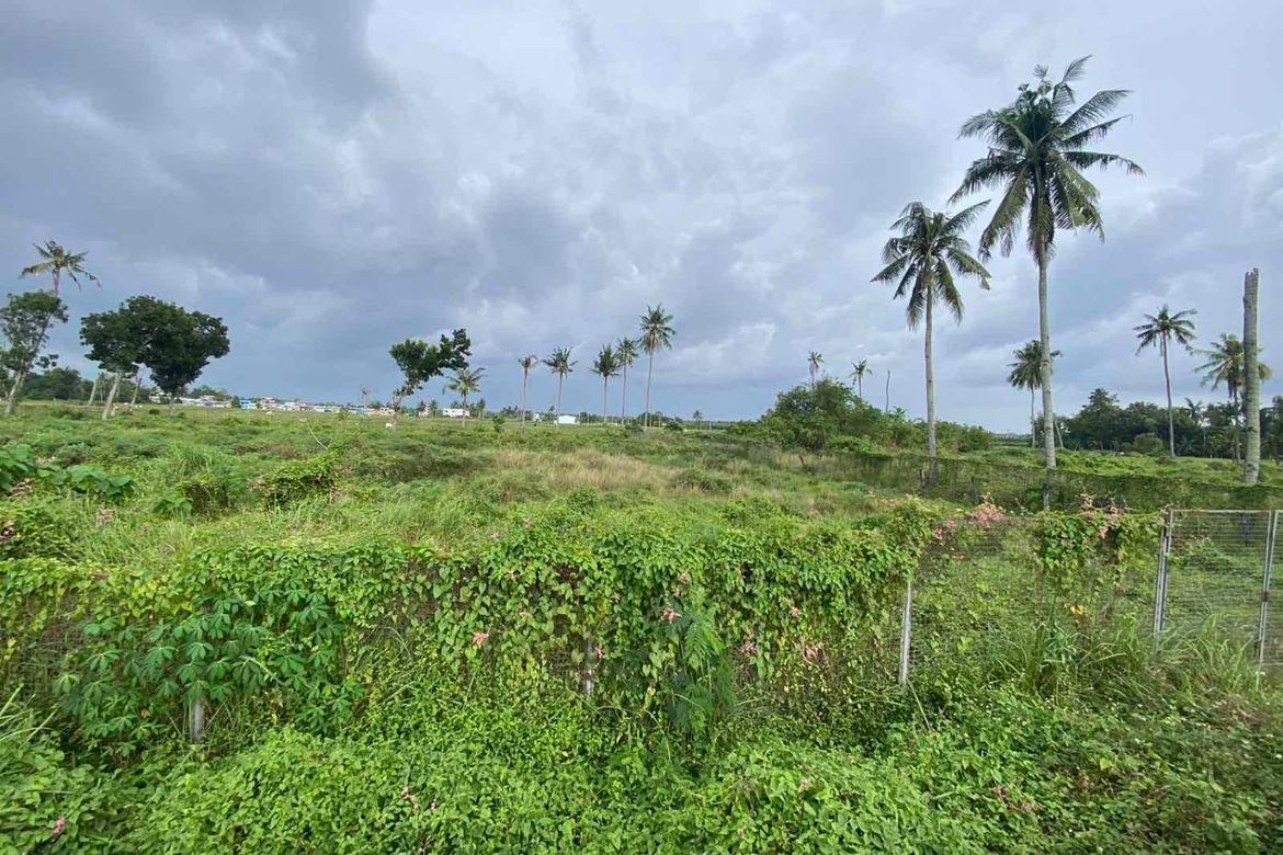 Land for Sale in Bolinawan, Carcar, Cebu – photo 5