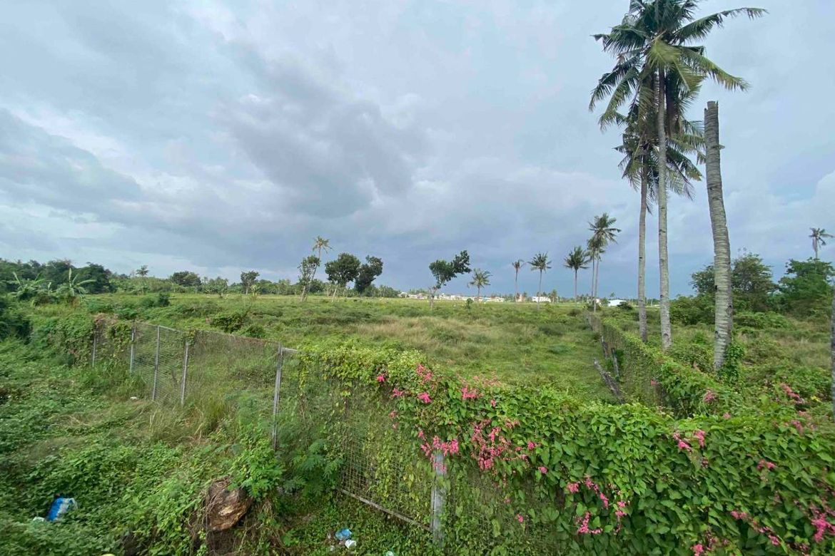 Land for Sale in Bolinawan, Carcar, Cebu – photo 6
