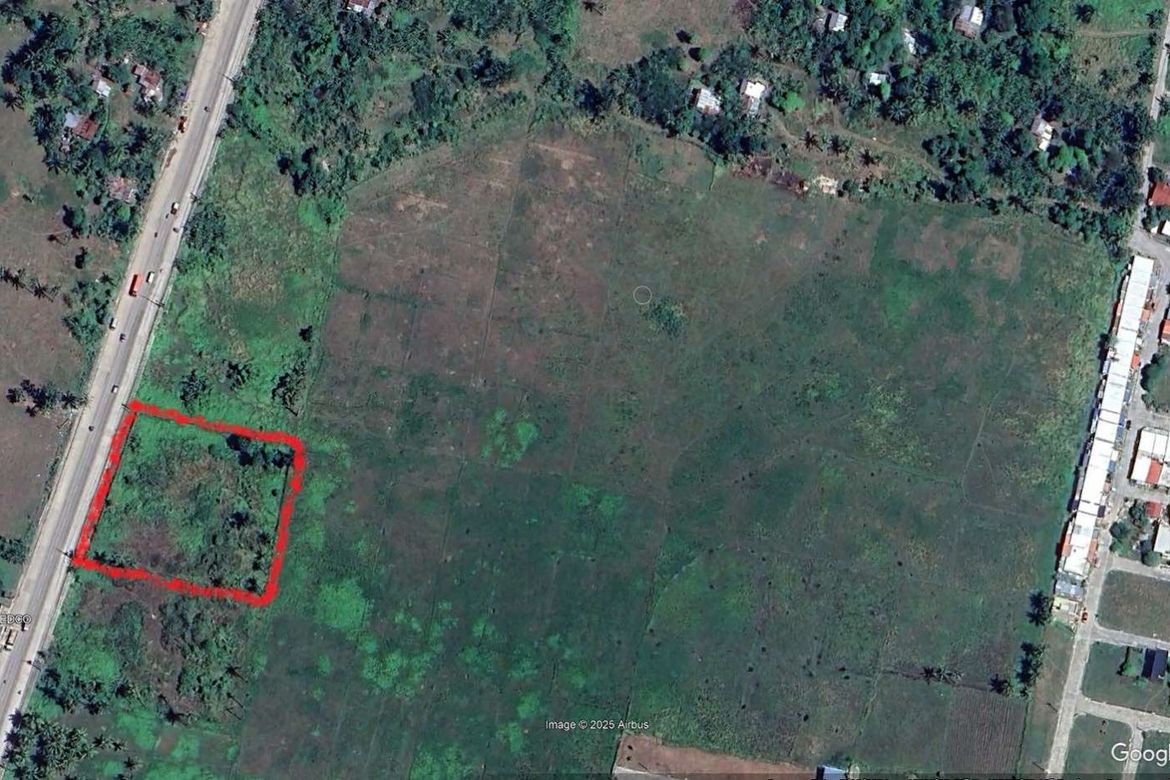 Land for Sale in Bolinawan, Carcar, Cebu – photo 7