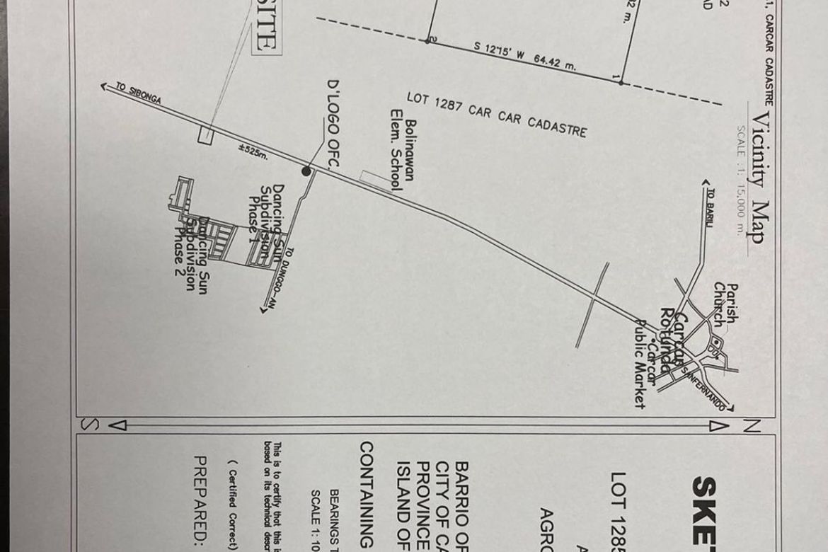 Land for Sale in Bolinawan, Carcar, Cebu – photo 8