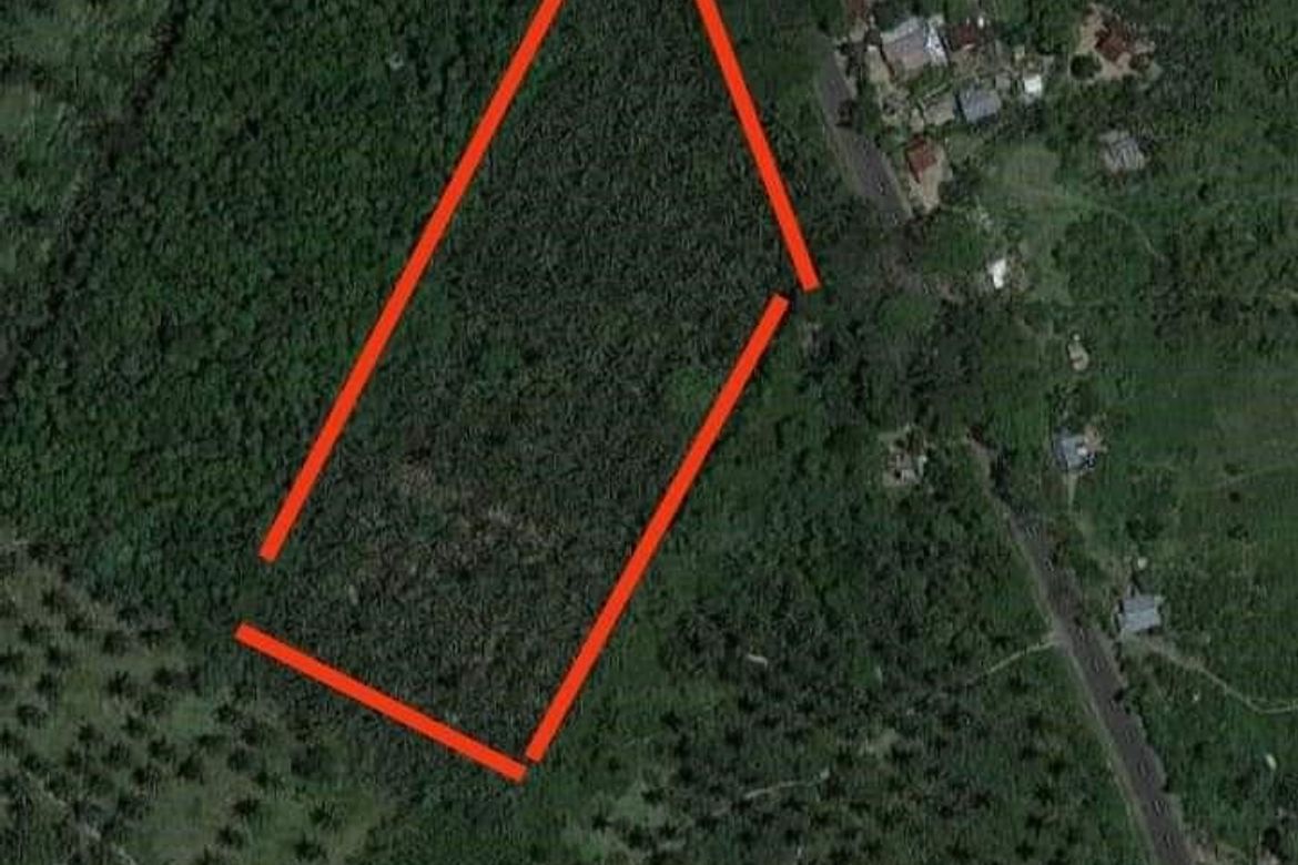 Land for Sale in Bolo Sur, Sipocot, Camarines Sur